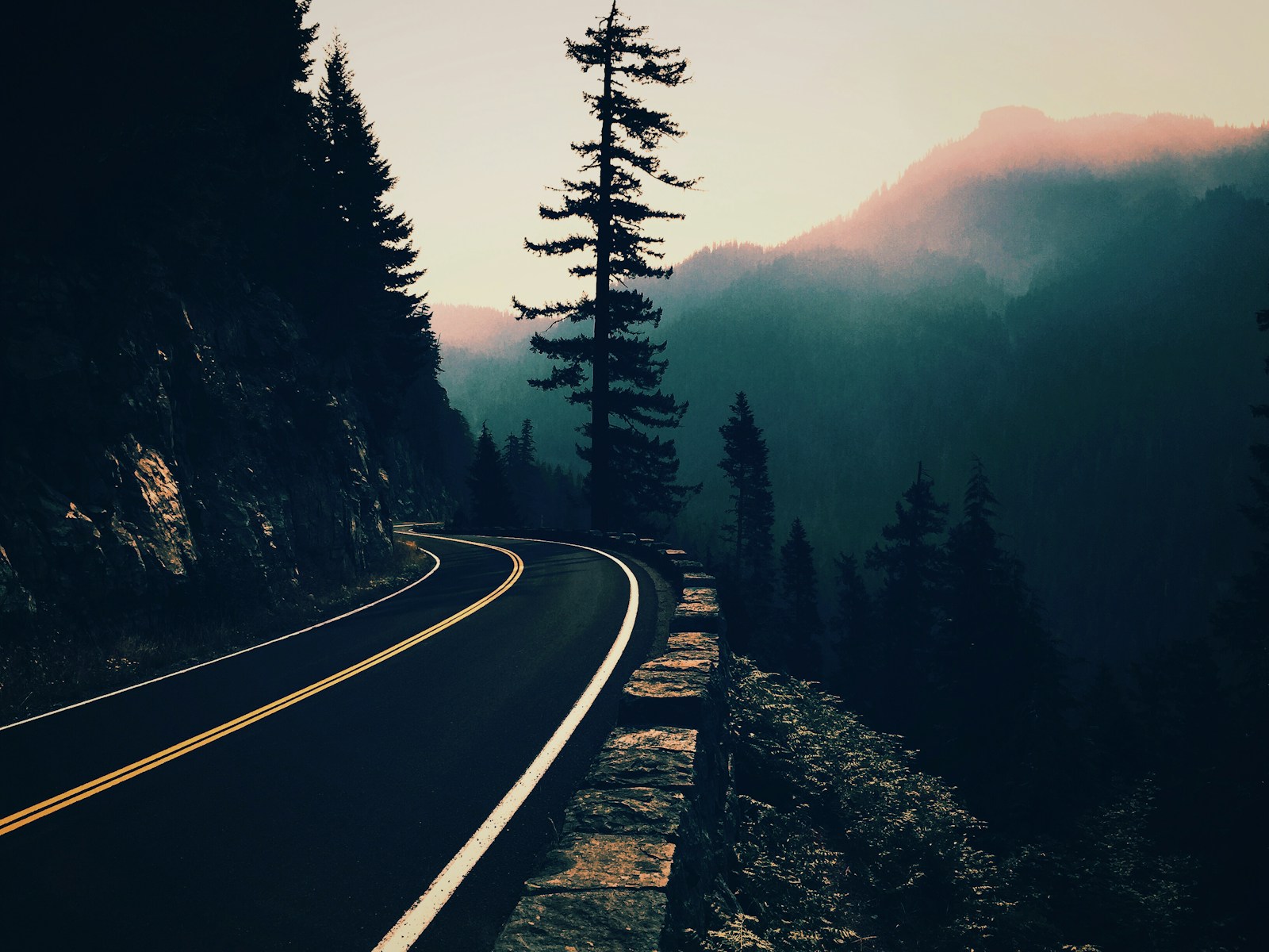 Acceptance and Commitment Therapy